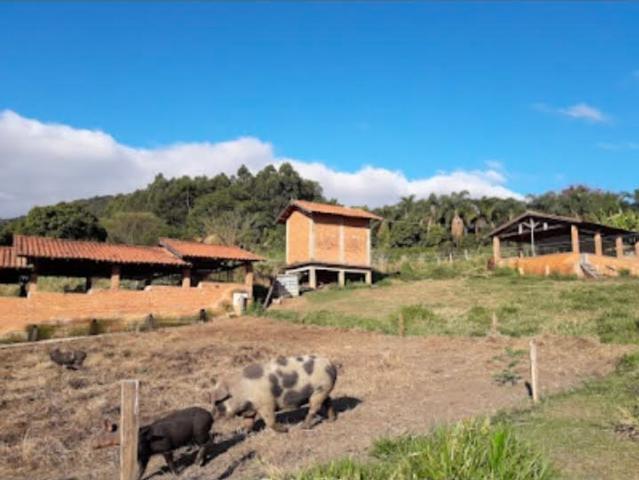 Sítio / Chácara para Venda em São Sebastião da Grama/SP Zona Rural 3 Quartos