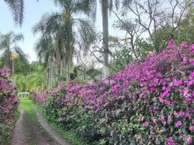 Sítio / Chácara para Venda em São Sebastião do Caí/RS Zona Rural 2 Quartos