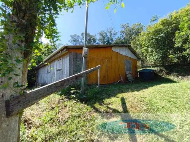 Sítio / Chácara para Venda em São Sebastião do Caí/RS Areião