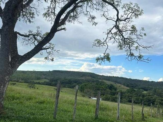 Sítio / Chácara para Venda em São Sebastião do Oeste/MG Zona Rural 2 Quartos