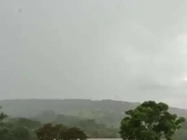 Sítio / Chácara para Venda em São Sebastião do Paraíso/MG Centro 1 Quartos