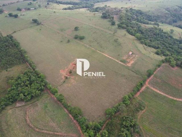Sítio / Chácara para Venda em São Sebastião do Paraíso/MG Zona Rural