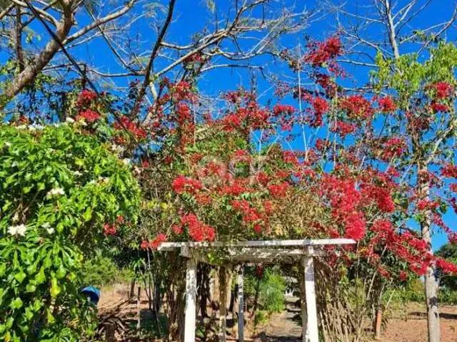 Sítio / Chácara para Venda em São Sebastião do Paraíso/MG Zona Rural 3 Quartos