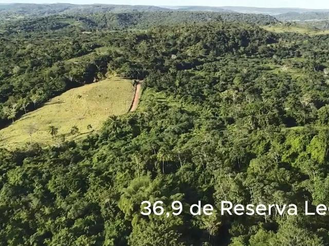 Sítio / Chácara para Venda em São Sebastião do Passe/BA Zona Rural 1 Quartos