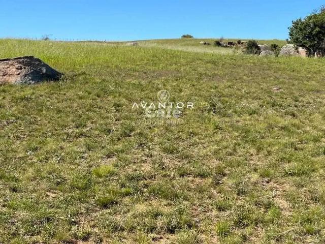 Sítio / Chácara para Venda em São Sepé/RS Zona Rural