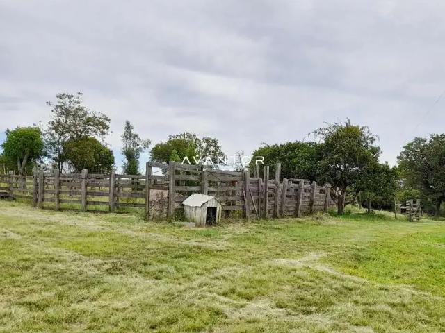 Sítio / Chácara para Venda em São Sepé/RS Zona Rural 3 Quartos