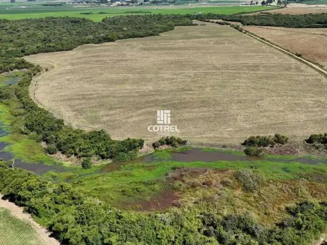 Sítio / Chácara para Venda em São Sepé/RS Zona Rural