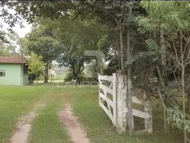 Sítio / Chácara para Venda em São Simão/SP Centro