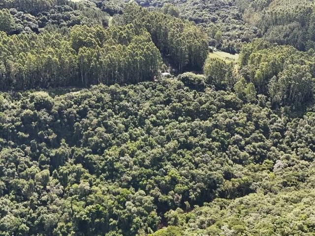 Sítio / Chácara para Venda em São Valentim do Sul/RS Zona Rural