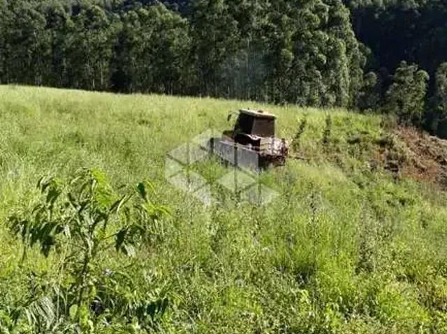 Sítio / Chácara para Venda em São Vendelino/RS Centro