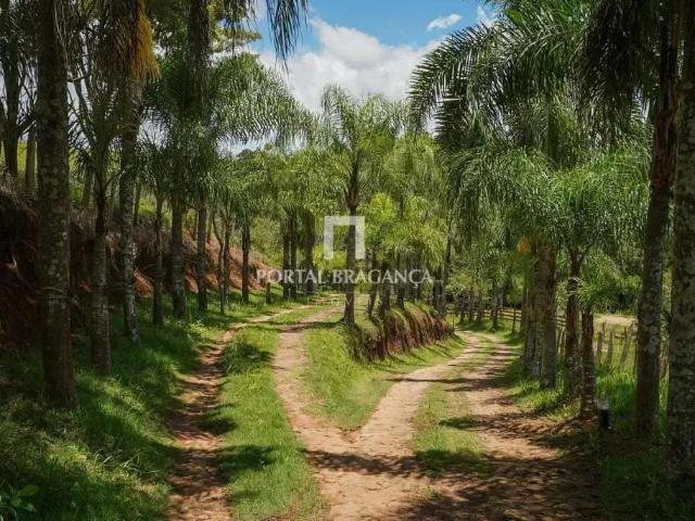 Sítio / Chácara para Venda em Socorro/SP Centro 5 Quartos