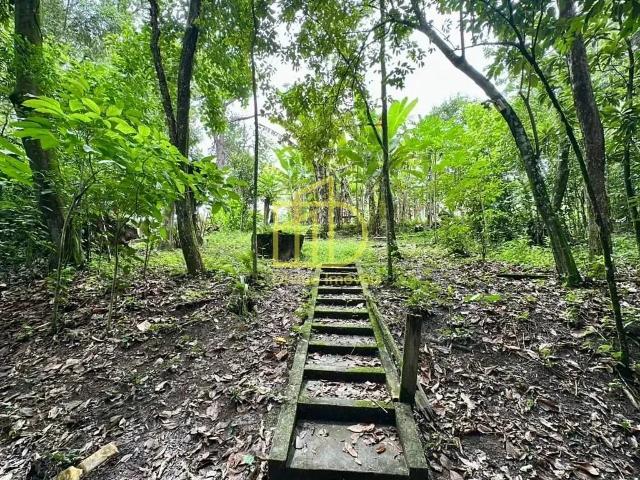 Sítio / Chácara para Venda em Sorocaba/SP Itinga 4 Quartos