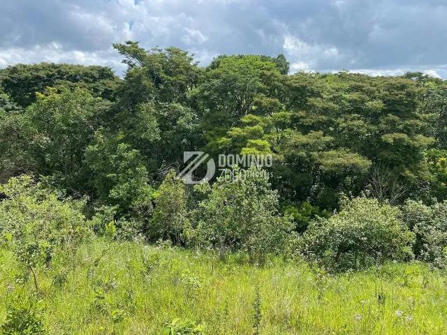 Sítio / Chácara para Venda em Sacramento/MG Zona Rural 1 Quartos