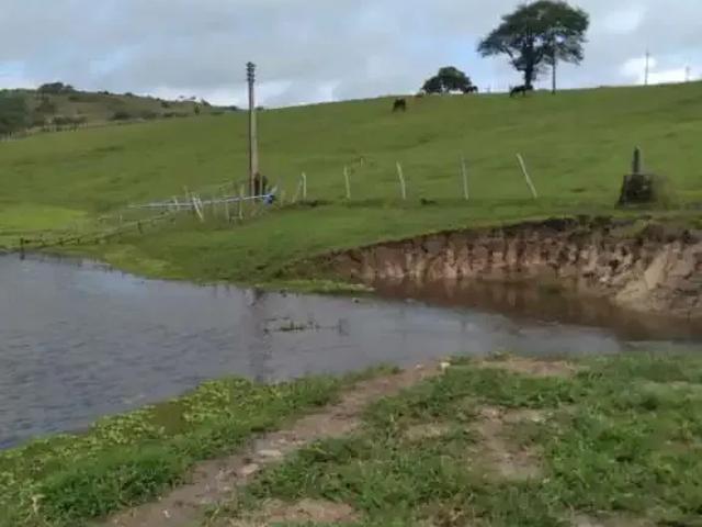 Sítio / Chácara para Venda em Sairé/PE Centro