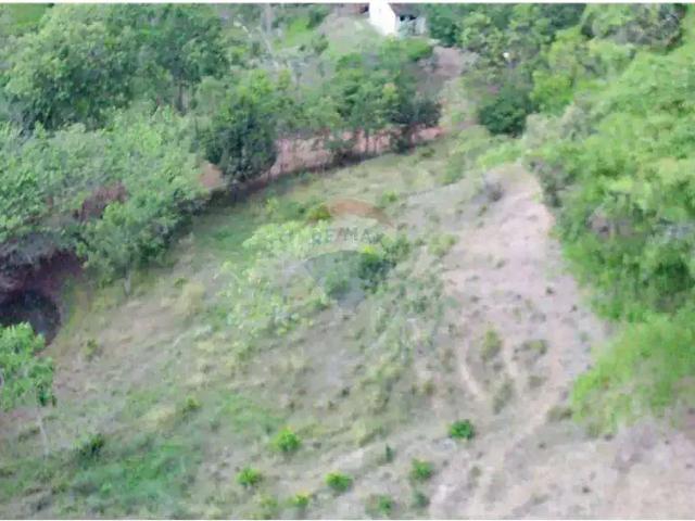 Sítio / Chácara para Venda em Salgado/SE Centro 3 Quartos