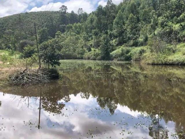 Sítio / Chácara para Venda em Salesópolis/SP Centro 3 Quartos