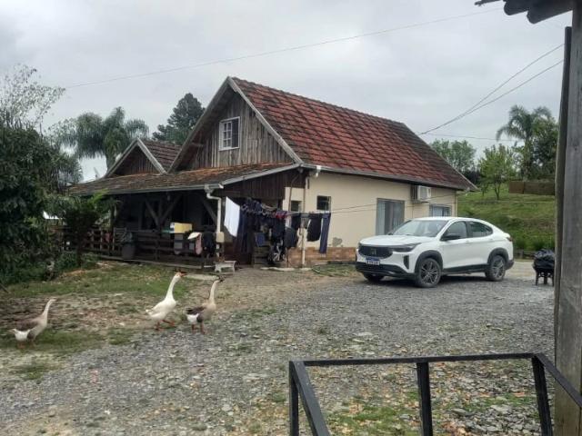 Sítio / Chácara para Venda em Salete/SC Zona Rural