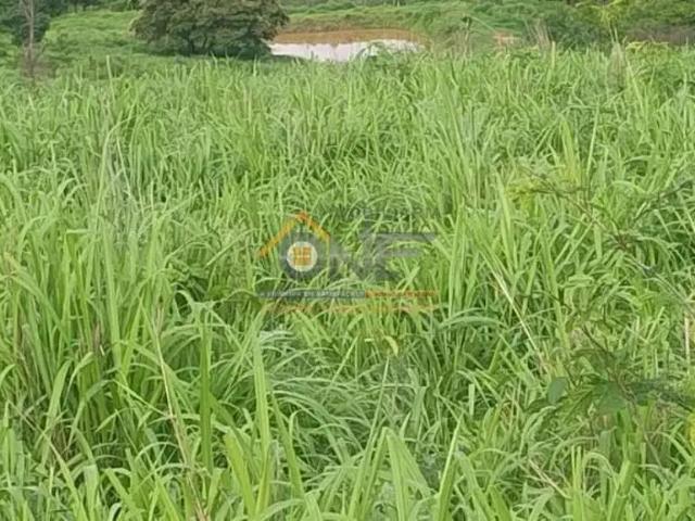 Sítio / Chácara para Venda em Salinas/MG Centro 3 Quartos