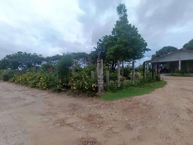 Sítio / Chácara para Venda em Salinópolis/PA Centro