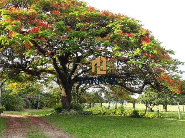 Sítio / Chácara para Venda em Saltinho/SP Área Rural de Saltinho