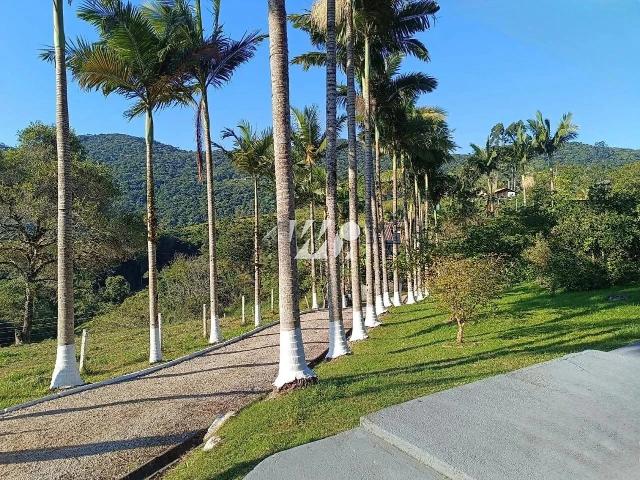 Sítio / Chácara para Venda em Santo Amaro da Imperatriz/SC Calemba 2 Quartos