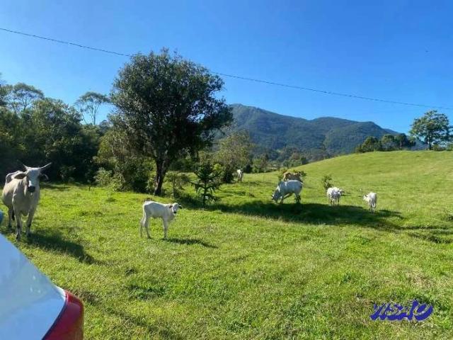 Sítio / Chácara para Venda em Santo Amaro da Imperatriz/SC Poço Fundo 2 Quartos