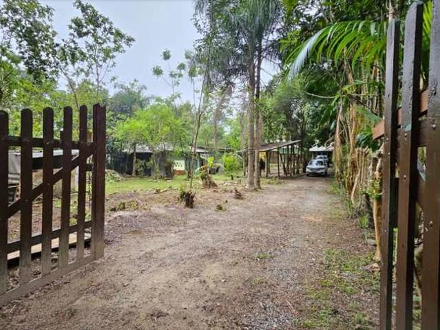 Sítio / Chácara para Venda em Santo Amaro da Imperatriz/SC Vargem do Braço 5 Quartos