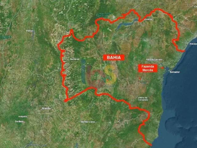 Sítio / Chácara para Venda em Santo Amaro/BA Centro