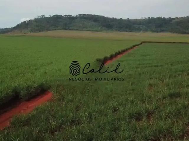 Sítio / Chácara para Venda em Santo Antônio da Alegria/SP Coutinhos 1 Quartos