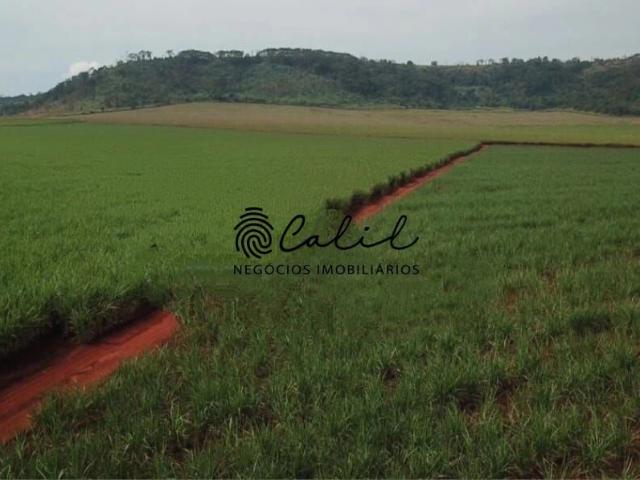 Sítio / Chácara para Venda em Santo Antônio da Alegria/SP Coutinhos 1 Quartos