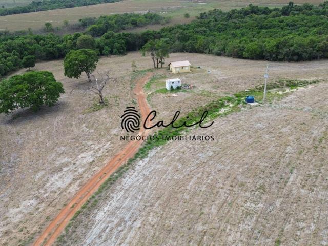 Sítio / Chácara para Venda em Santo Antônio da Alegria/SP Centro 2 Quartos