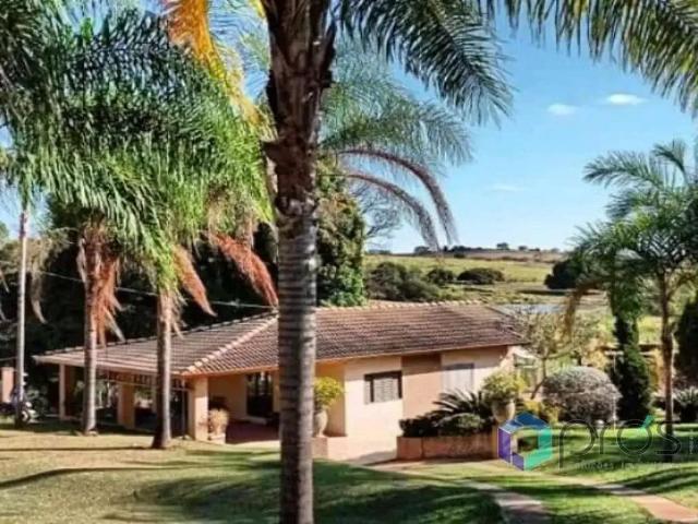 Sítio / Chácara para Venda em Santo Antônio da Alegria/SP Centro 3 Quartos