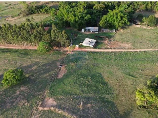Sítio / Chácara para Venda em Santo Antônio da Alegria/SP Centro 4 Quartos