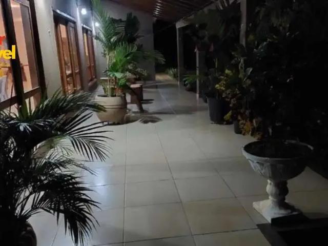 Sítio / Chácara para Venda em Santo Antônio da Alegria/SP Centro 4 Quartos