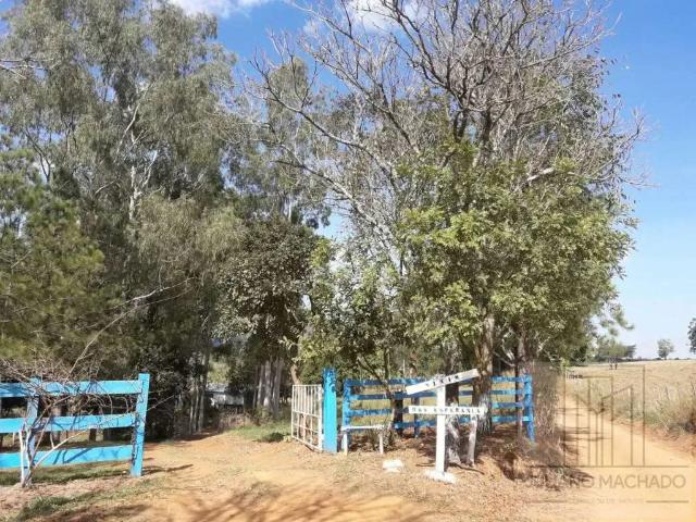 Sítio / Chácara para Venda em Santo Antônio da Alegria/SP Zona Rural 4 Quartos