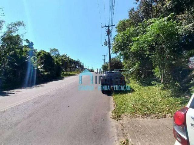 Sítio / Chácara para Venda em Santo Antônio da Patrulha/RS Santa Teresinha 3 Quartos