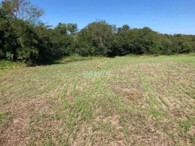 Sítio / Chácara para Venda em Santo Antônio da Platina/PR Jardim Monte das Oliveiras