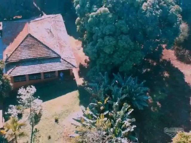Sítio / Chácara para Venda em Santo Antônio da Platina/PR Platina 4 Quartos