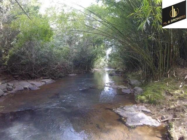 Sítio / Chácara para Venda em Santo Antônio da Platina/PR Zona Rural