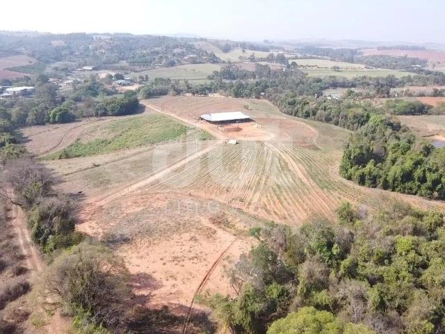 Sítio / Chácara para Venda em Santo Antônio de Posse/SP Barreiro 1 Quartos