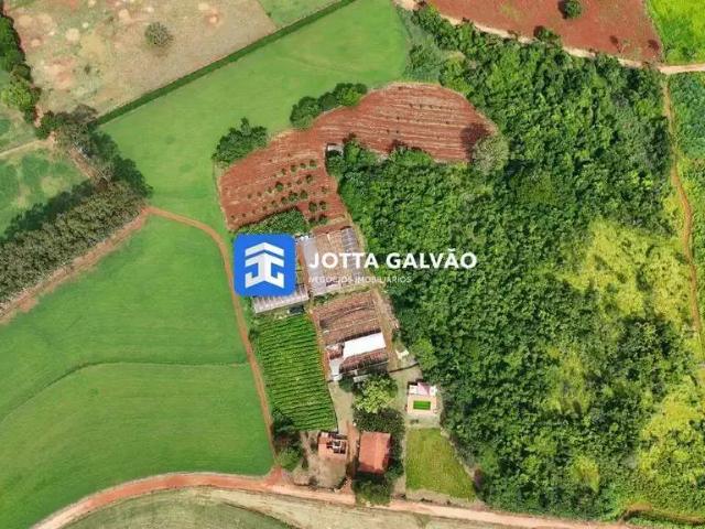 Sítio / Chácara para Venda em Santo Antônio de Posse/SP Jardim Luciana 4 Quartos
