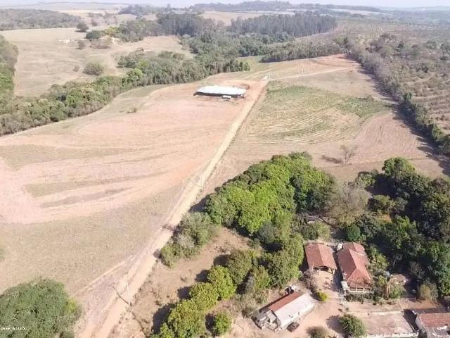 Sítio / Chácara para Venda em Santo Antônio de Posse/SP Zona Rural