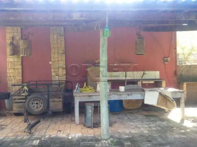 Sítio / Chácara para Venda em Santo Antônio do Aracanguá/SP Zona Rural 4 Quartos