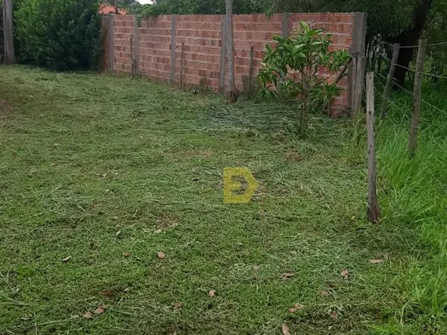 Sítio / Chácara para Venda em Santo Antônio do Aracanguá/SP Centro 1 Quartos