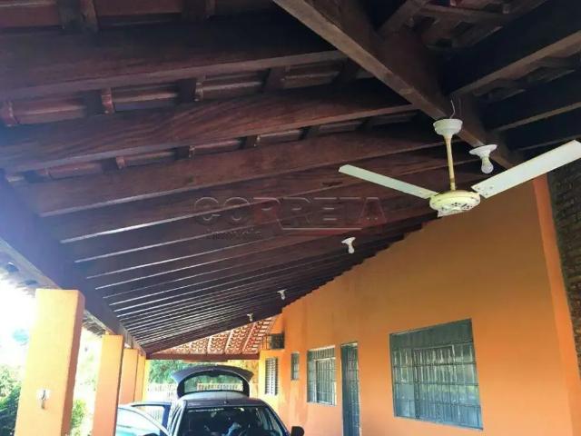 Sítio / Chácara para Venda em Santo Antônio do Aracanguá/SP Macaúba 3 Quartos