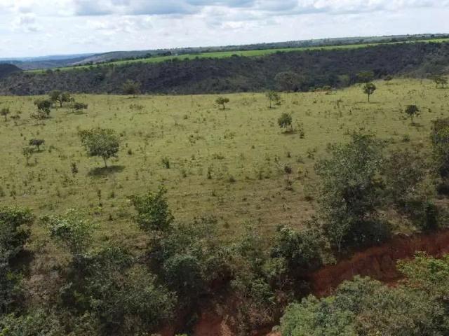 Sítio / Chácara para Venda em Santo Antônio do Descoberto/GO Centro 4 Quartos