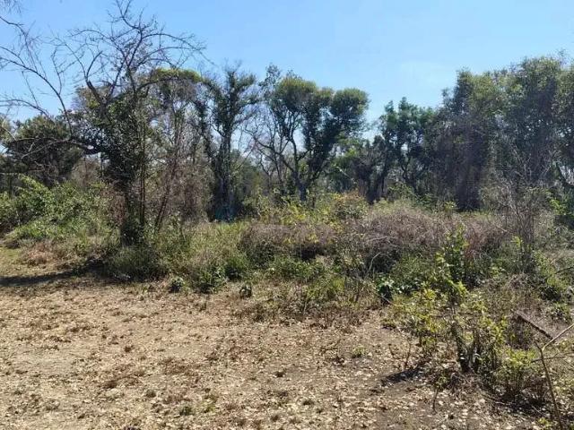 Sítio / Chácara para Venda em Santo Antônio do Leverger/MT Zona Rural 3 Quartos