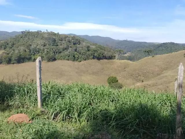 Sítio / Chácara para Venda em Santo Antônio do Pinhal/SP Centro 1 Quartos