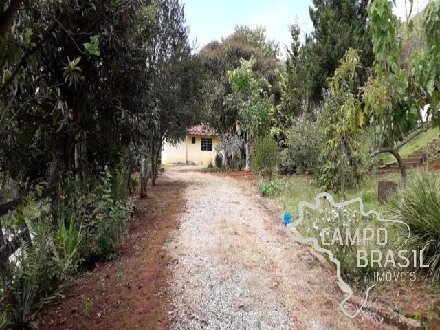 Sítio / Chácara para Venda em Santo Antônio do Pinhal/SP Centro 2 Quartos