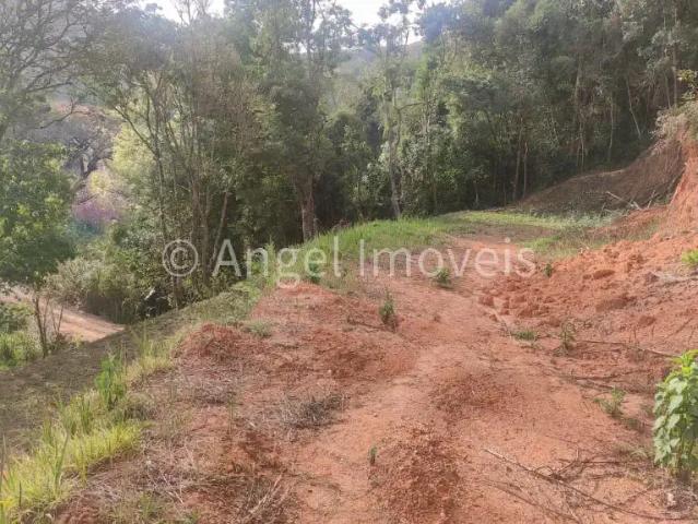 Sítio / Chácara para Venda em Santo Antônio do Pinhal/SP Centro